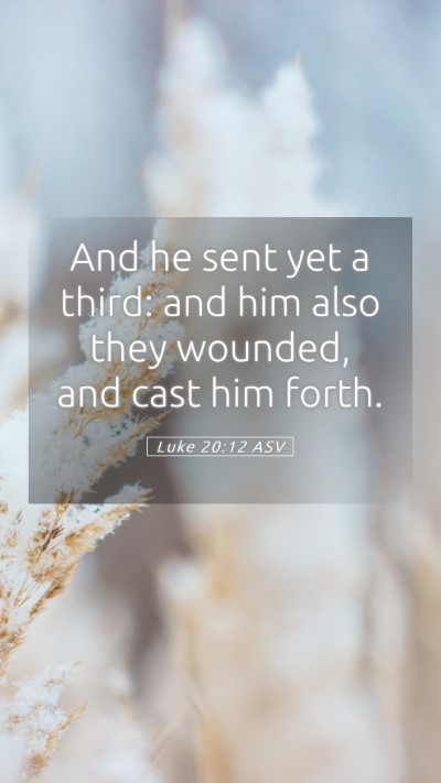Picture 05 - Luke 20:12 ASV Mobile Phone Wallpaper - And he sent yet a third: and him also they - Mobile Bible Verse Wallpaper