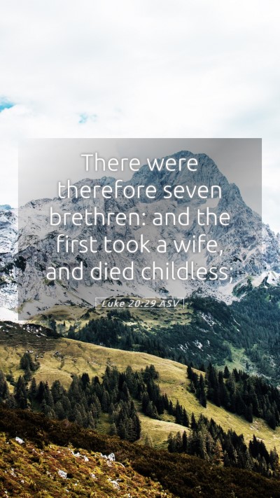 Picture 05 - Luke 20:29 ASV Mobile Phone Wallpaper - There were therefore seven brethren: and the - Mobile Bible Verse Wallpaper
