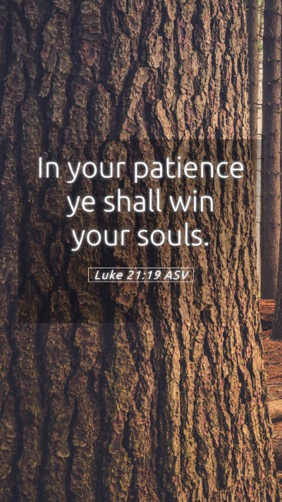 Picture 05 - Luke 21:19 ASV Mobile Phone Wallpaper - In your patience ye shall win your - Mobile Bible Verse Wallpaper