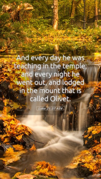 Picture 05 - Luke 21:37 ASV Mobile Phone Wallpaper - And every day he was teaching in the temple; and - Mobile Bible Verse Wallpaper
