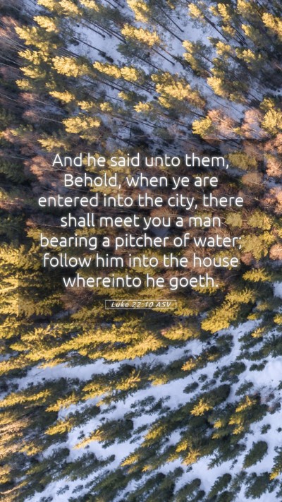 Picture 05 - Luke 22:10 ASV Mobile Phone Wallpaper - And he said unto them, Behold, when ye are - Mobile Bible Verse Wallpaper