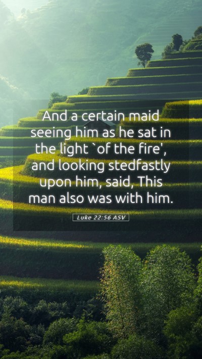 Picture 05 - Luke 22:56 ASV Mobile Phone Wallpaper - And a certain maid seeing him as he sat in the - Mobile Bible Verse Wallpaper