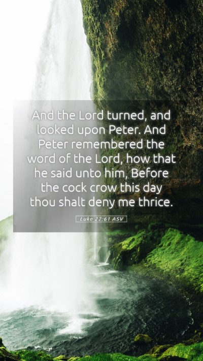 Picture 05 - Luke 22:61 ASV Mobile Phone Wallpaper - And the Lord turned, and looked upon Peter. And - Mobile Bible Verse Wallpaper