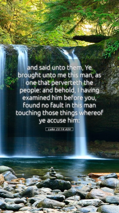 Picture 05 - Luke 23:14 ASV Mobile Phone Wallpaper - and said unto them, Ye brought unto me this man, - Mobile Bible Verse Wallpaper