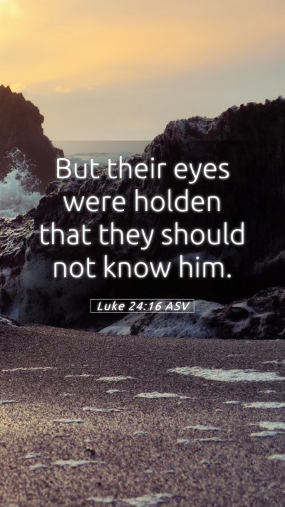 Picture 05 - Luke 24:16 ASV Mobile Phone Wallpaper - But their eyes were holden that they should not - Mobile Bible Verse Wallpaper