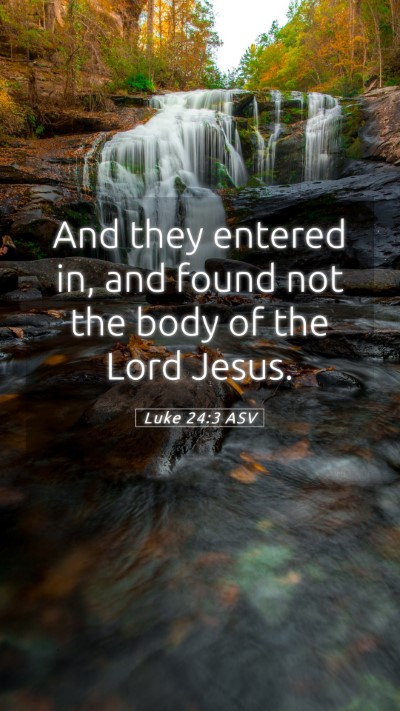 Picture 05 - Luke 24:3 ASV Mobile Phone Wallpaper - And they entered in, and found not the body of - Mobile Bible Verse Wallpaper