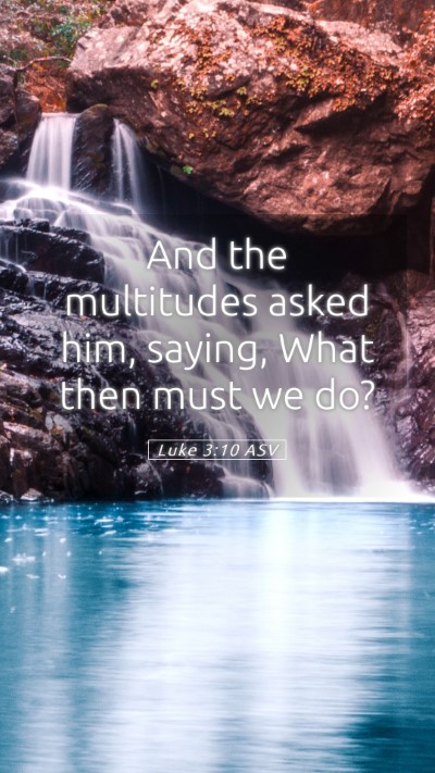 Picture 05 - Luke 3:10 ASV Mobile Phone Wallpaper - And the multitudes asked him, saying, What then - Mobile Bible Verse Wallpaper