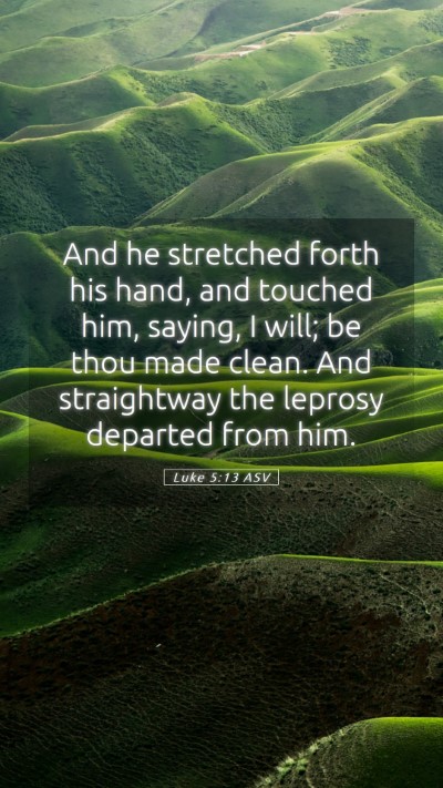 Picture 05 - Luke 5:13 ASV Mobile Phone Wallpaper - And he stretched forth his hand, and touched him, - Mobile Bible Verse Wallpaper