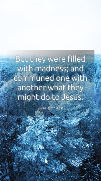 Picture 05 - Luke 6:11 ASV Mobile Phone Wallpaper - But they were filled with madness; and communed - Mobile Bible Verse Wallpaper