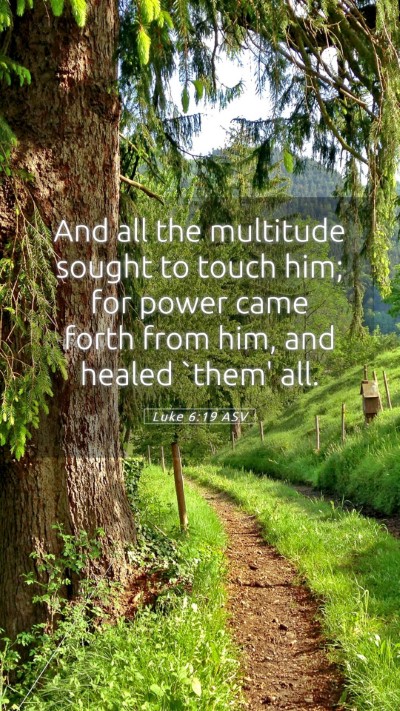 Picture 05 - Luke 6:19 ASV Mobile Phone Wallpaper - And all the multitude sought to touch him; for - Mobile Bible Verse Wallpaper