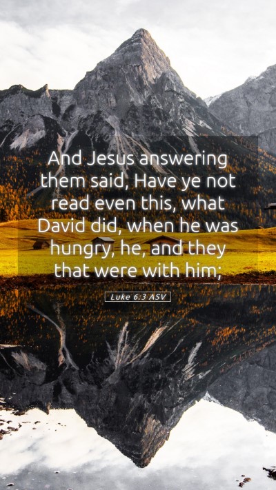 Picture 05 - Luke 6:3 ASV Mobile Phone Wallpaper - And Jesus answering them said, Have ye not read - Mobile Bible Verse Wallpaper