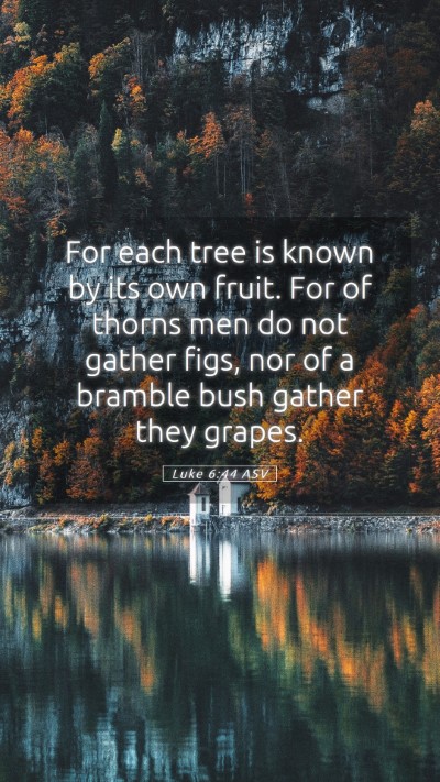 Picture 05 - Luke 6:44 ASV Mobile Phone Wallpaper - For each tree is known by its own fruit. For of - Mobile Bible Verse Wallpaper