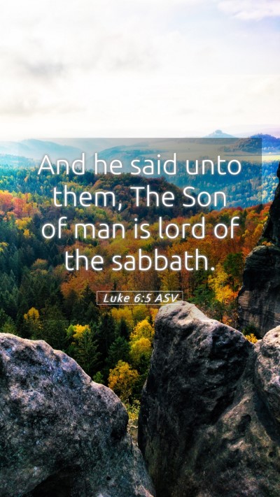 Picture 05 - Luke 6:5 ASV Mobile Phone Wallpaper - And he said unto them, The Son of man is lord of - Mobile Bible Verse Wallpaper