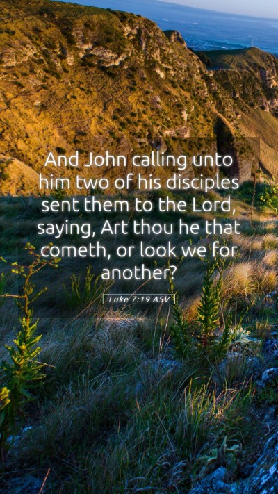 Picture 05 - Luke 7:19 ASV Mobile Phone Wallpaper - And John calling unto him two of his disciples - Mobile Bible Verse Wallpaper