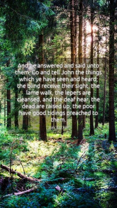Picture 05 - Luke 7:22 ASV Mobile Phone Wallpaper - And he answered and said unto them, Go and tell - Mobile Bible Verse Wallpaper