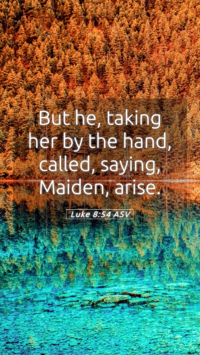 Picture 05 - Luke 8:54 ASV Mobile Phone Wallpaper - But he, taking her by the hand, called, saying, - Mobile Bible Verse Wallpaper