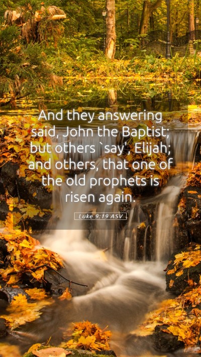 Picture 05 - Luke 9:19 ASV Mobile Phone Wallpaper - And they answering said, John the Baptist; but - Mobile Bible Verse Wallpaper