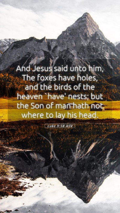 Picture 05 - Luke 9:58 ASV Mobile Phone Wallpaper - And Jesus said unto him, The foxes have holes, - Mobile Bible Verse Wallpaper