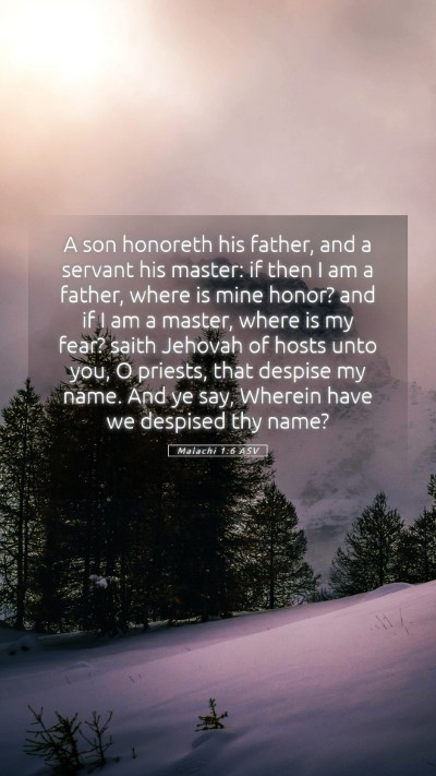Picture 05 - Malachi 1:6 ASV Mobile Phone Wallpaper - A son honoreth his father, and a servant his - Mobile Bible Verse Wallpaper
