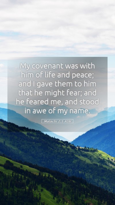 Picture 05 - Malachi 2:5 ASV Mobile Phone Wallpaper - My covenant was with him of life and peace; and I - Mobile Bible Verse Wallpaper
