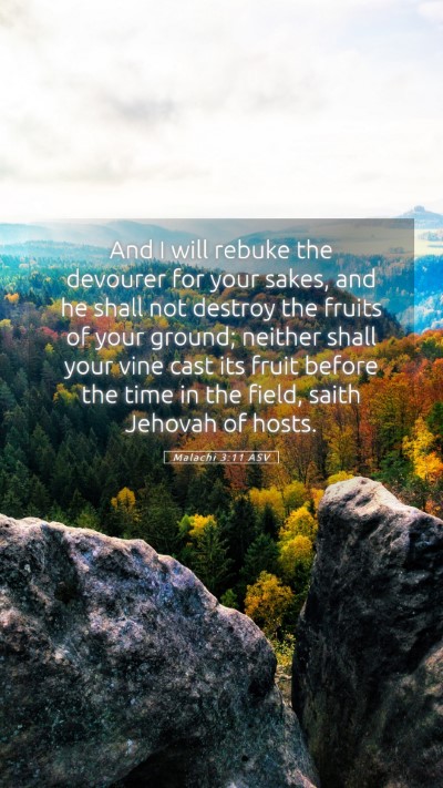 Picture 05 - Malachi 3:11 ASV Mobile Phone Wallpaper - And I will rebuke the devourer for your sakes, - Mobile Bible Verse Wallpaper