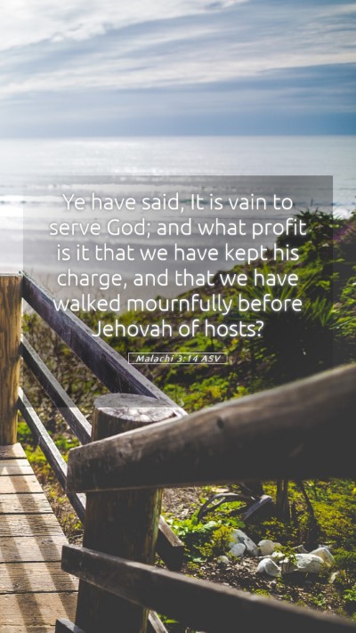 Picture 05 - Malachi 3:14 ASV Mobile Phone Wallpaper - Ye have said, It is vain to serve God; and what - Mobile Bible Verse Wallpaper