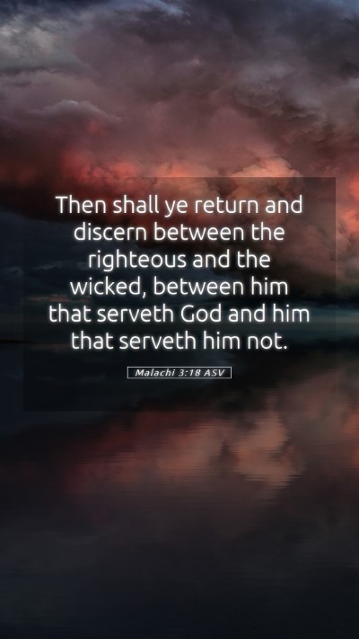 Picture 05 - Malachi 3:18 ASV Mobile Phone Wallpaper - Then shall ye return and discern between the - Mobile Bible Verse Wallpaper