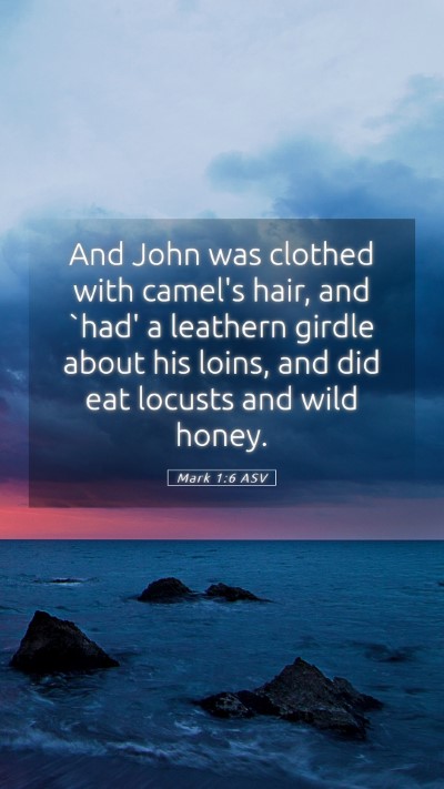 Picture 05 - Mark 1:6 ASV Mobile Phone Wallpaper - And John was clothed with camel's hair, and `had' - Mobile Bible Verse Wallpaper