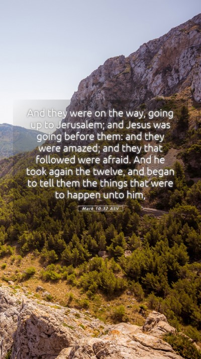 Picture 05 - Mark 10:32 ASV Mobile Phone Wallpaper - And they were on the way, going up to Jerusalem; - Mobile Bible Verse Wallpaper