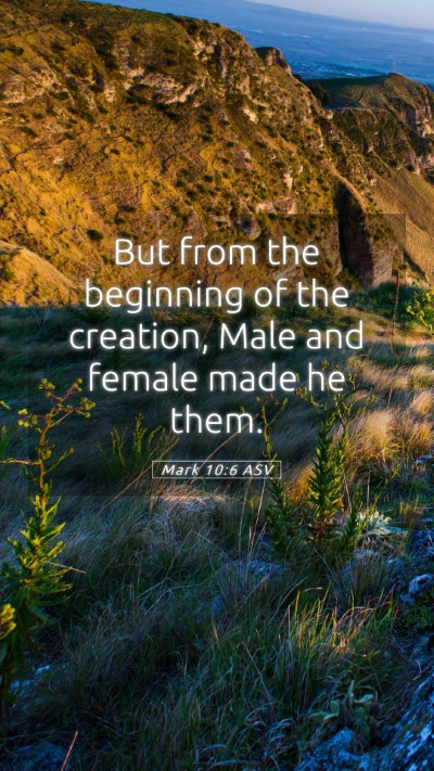 Picture 05 - Mark 10:6 ASV Mobile Phone Wallpaper - But from the beginning of the creation, Male and - Mobile Bible Verse Wallpaper