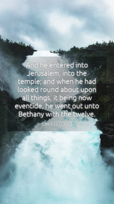 Picture 05 - Mark 11:11 ASV Mobile Phone Wallpaper - And he entered into Jerusalem, into the temple; - Mobile Bible Verse Wallpaper