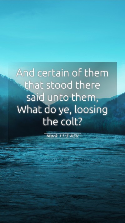 Picture 05 - Mark 11:5 ASV Mobile Phone Wallpaper - And certain of them that stood there said unto - Mobile Bible Verse Wallpaper