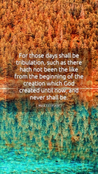 Picture 05 - Mark 13:19 ASV Mobile Phone Wallpaper - For those days shall be tribulation, such as - Mobile Bible Verse Wallpaper