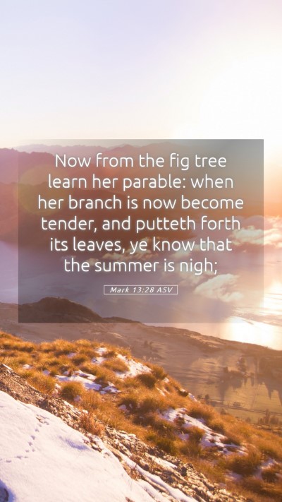 Picture 05 - Mark 13:28 ASV Mobile Phone Wallpaper - Now from the fig tree learn her parable: when her - Mobile Bible Verse Wallpaper