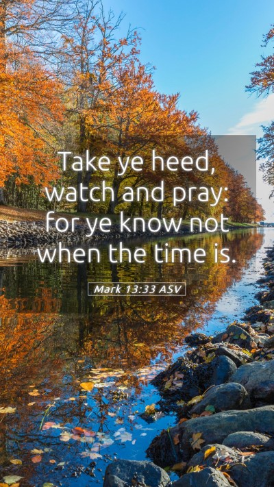 Picture 05 - Mark 13:33 ASV Mobile Phone Wallpaper - Take ye heed, watch and pray: for ye know not - Mobile Bible Verse Wallpaper