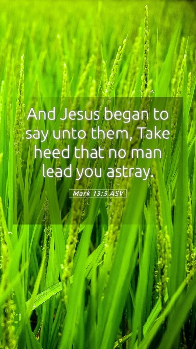Picture 05 - Mark 13:5 ASV Mobile Phone Wallpaper - And Jesus began to say unto them, Take heed that - Mobile Bible Verse Wallpaper