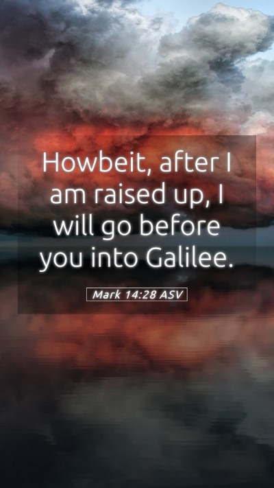 Picture 05 - Mark 14:28 ASV Mobile Phone Wallpaper - Howbeit, after I am raised up, I will go before - Mobile Bible Verse Wallpaper