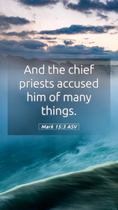 Picture 05 - Mark 15:3 ASV Mobile Phone Wallpaper - And the chief priests accused him of many - Mobile Bible Verse Wallpaper