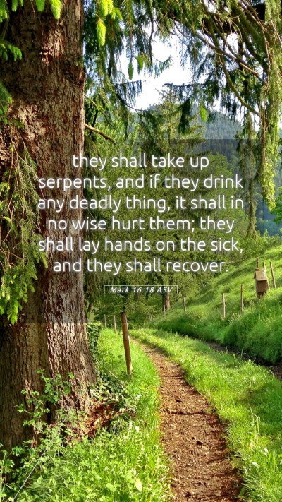 Picture 05 - Mark 16:18 ASV Mobile Phone Wallpaper - they shall take up serpents, and if they drink - Mobile Bible Verse Wallpaper