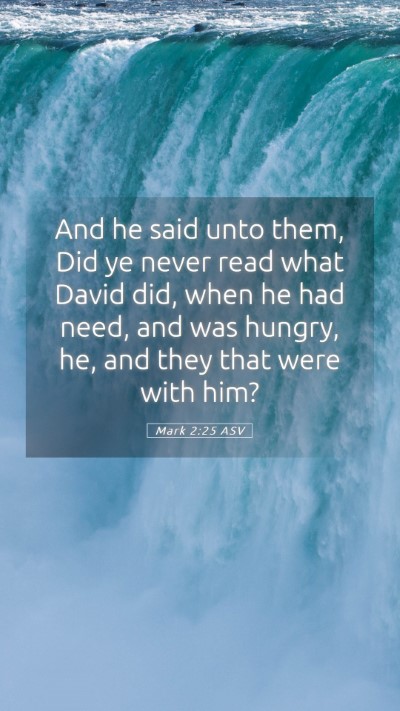 Picture 05 - Mark 2:25 ASV Mobile Phone Wallpaper - And he said unto them, Did ye never read what - Mobile Bible Verse Wallpaper