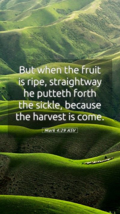 Picture 05 - Mark 4:29 ASV Mobile Phone Wallpaper - But when the fruit is ripe, straightway he - Mobile Bible Verse Wallpaper
