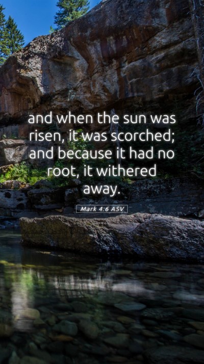 Picture 05 - Mark 4:6 ASV Mobile Phone Wallpaper - and when the sun was risen, it was scorched; and - Mobile Bible Verse Wallpaper