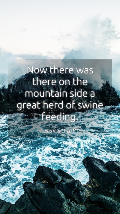 Picture 05 - Mark 5:11 ASV Mobile Phone Wallpaper - Now there was there on the mountain side a great - Mobile Bible Verse Wallpaper