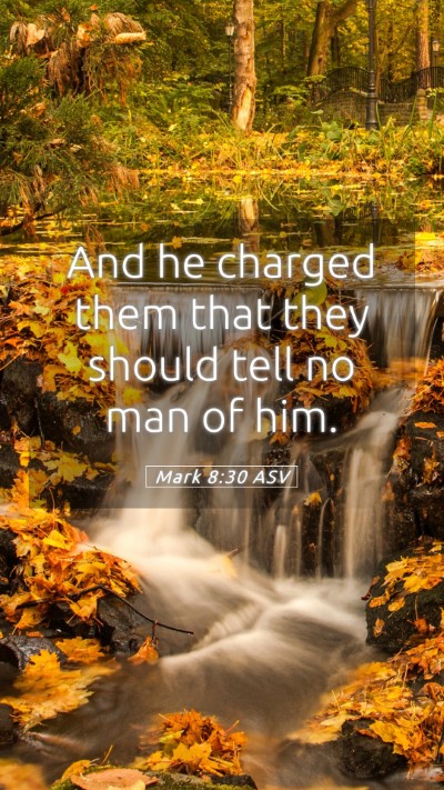 Picture 05 - Mark 8:30 ASV Mobile Phone Wallpaper - And he charged them that they should tell no man - Mobile Bible Verse Wallpaper