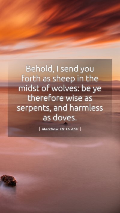 Picture 05 - Matthew 10:16 ASV Mobile Phone Wallpaper - Behold, I send you forth as sheep in the midst of - Mobile Bible Verse Wallpaper