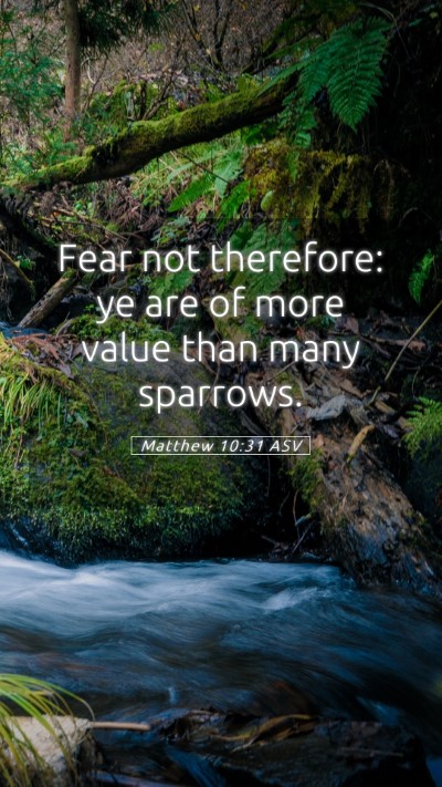 Picture 05 - Matthew 10:31 ASV Mobile Phone Wallpaper - Fear not therefore: ye are of more value than - Mobile Bible Verse Wallpaper