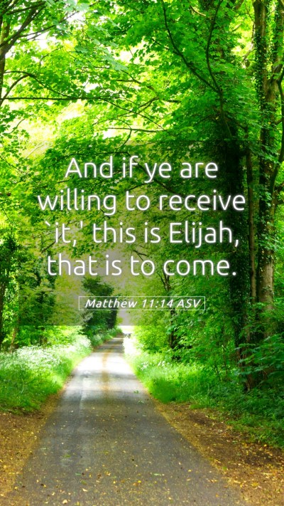 Picture 05 - Matthew 11:14 ASV Mobile Phone Wallpaper - And if ye are willing to receive `it,' this is - Mobile Bible Verse Wallpaper