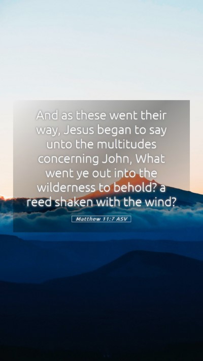 Picture 05 - Matthew 11:7 ASV Mobile Phone Wallpaper - And as these went their way, Jesus began to say - Mobile Bible Verse Wallpaper
