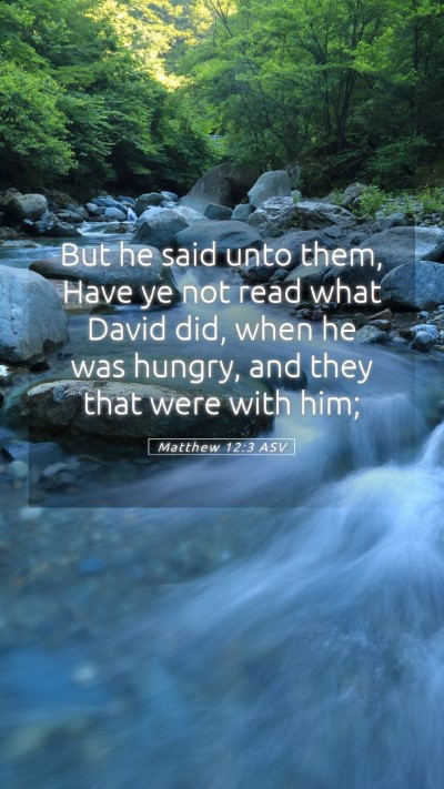 Picture 05 - Matthew 12:3 ASV Mobile Phone Wallpaper - But he said unto them, Have ye not read what - Mobile Bible Verse Wallpaper