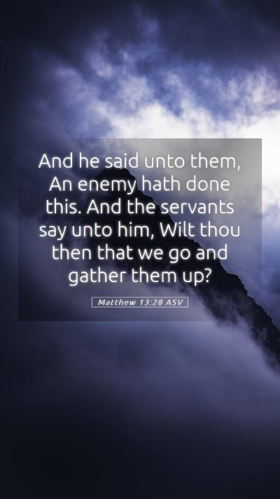 Picture 05 - Matthew 13:28 ASV Mobile Phone Wallpaper - And he said unto them, An enemy hath done this. - Mobile Bible Verse Wallpaper